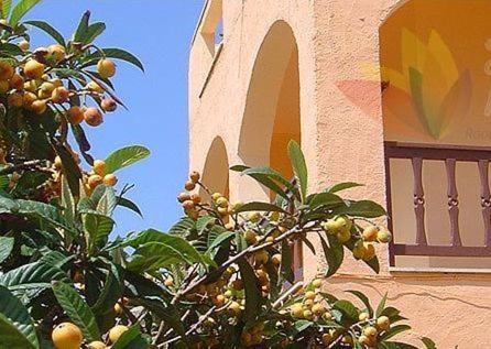 House Margot Hotel Palekastro Exterior photo